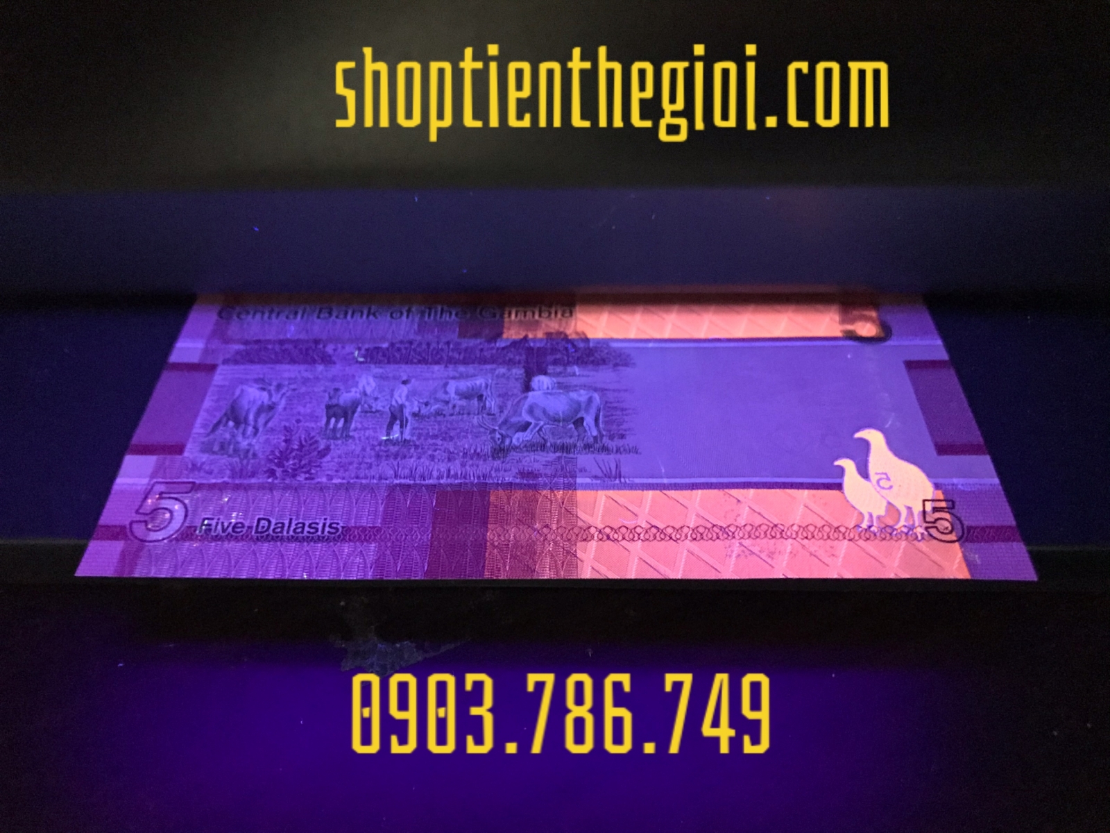 Gambia 5 Dalasis 2019 UNC banknote